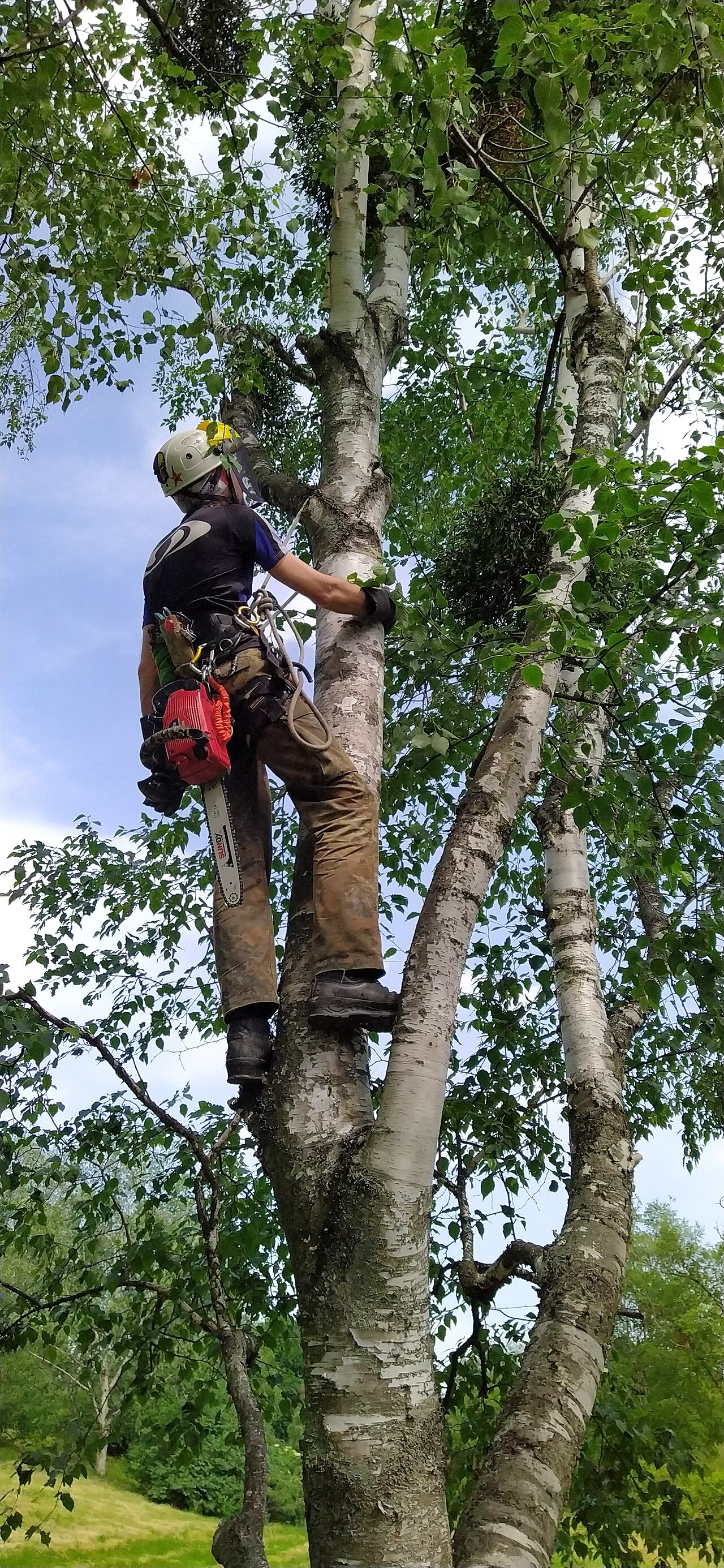 Building a Pre-Climb Risk Assessment Habit